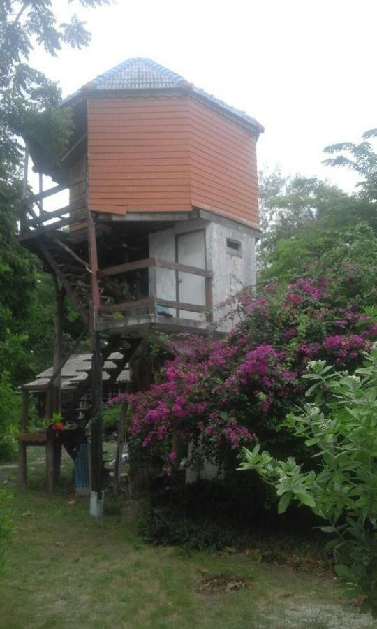 Phangan Island 帕岸岛 外观 照片